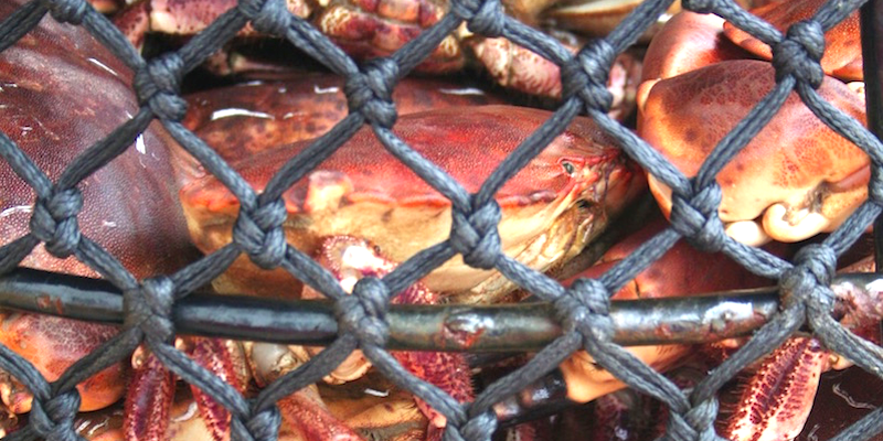 Read more about the article First fishery certified under Community Catch standard