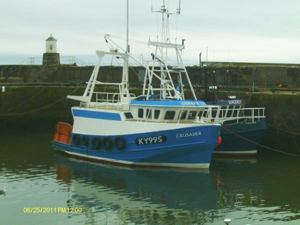 Read more about the article Fish Prices Landings For Scotland.