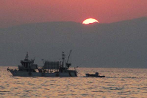 Read more about the article Commission announces deductions to spanish mackerel quota