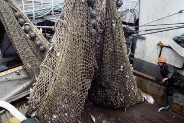 Read more about the article Fishing opportunities for 2014 –  further phase out of overfishing