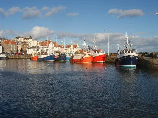 Read more about the article Fish Prices Landing For Scotland