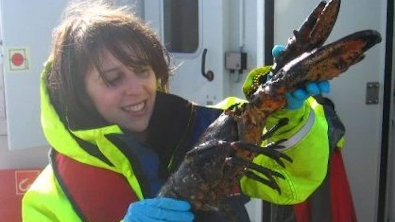 Read more about the article Connecting and informing with Fishing into the Future