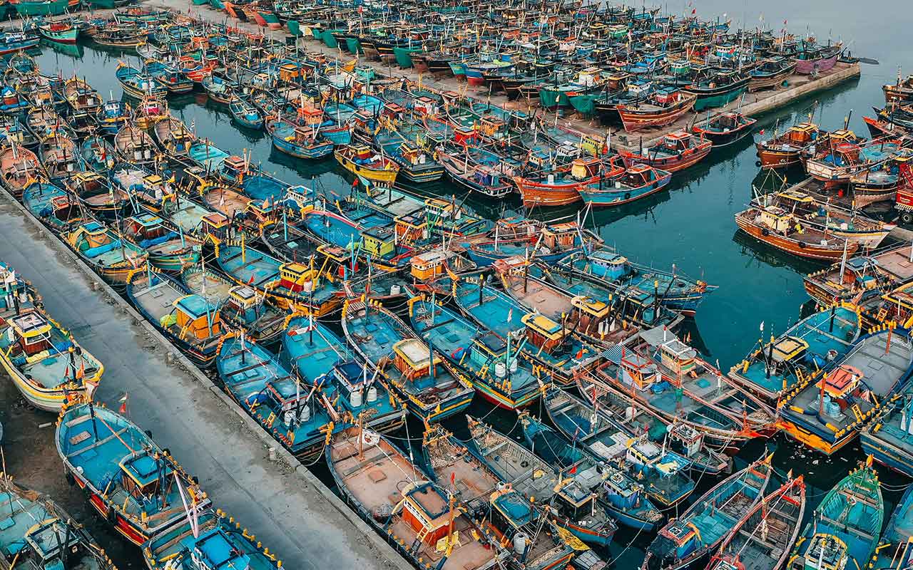 Read more about the article How digital tools are impacting fishing fleet management