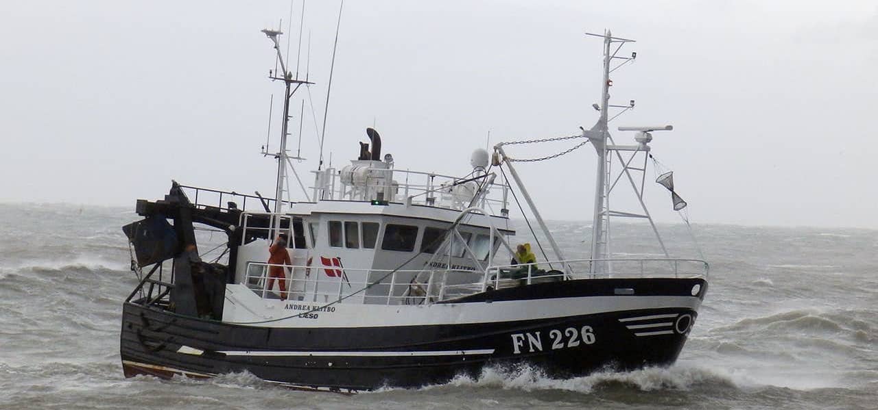 Read more about the article Danish fishermen’s patience runs out