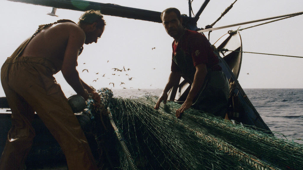 Read more about the article Spanish industry calls out NGO’s conspiracy theories