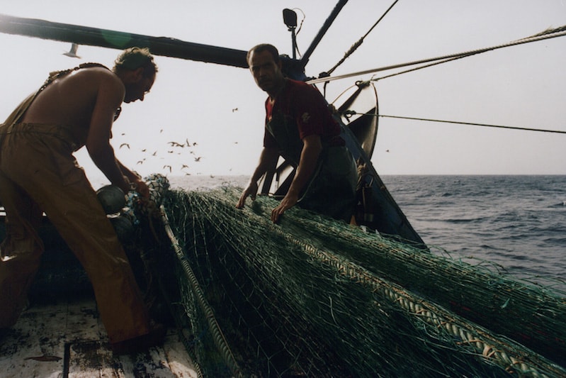 Read more about the article Significant progress towards sustainable EU fisheries