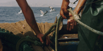Policy endangers future of fishing, Spanish federation warns 