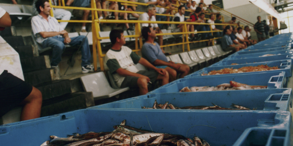 Read more about the article Spain seeks support for flexible control regulations