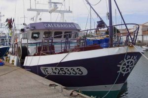 YE 425333 –  CALEBARIAN – ©FiskerForum - Foto: frenchies