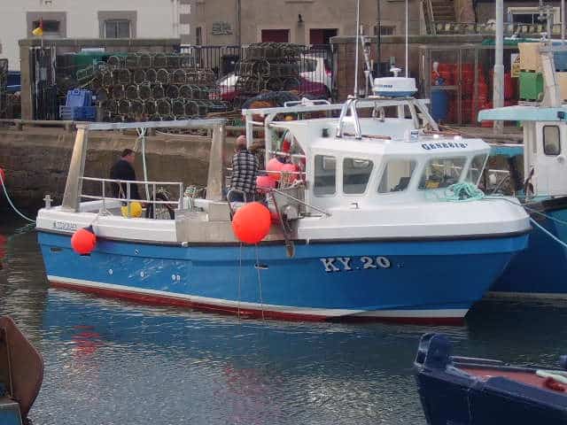 Read more about the article Fish Prices/Landings for Scotland