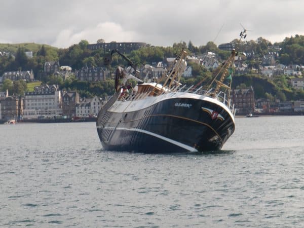 Read more about the article Fish Prices Landings For Scotland