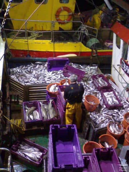 Read more about the article Call for better Protection of at Risk Stocks.