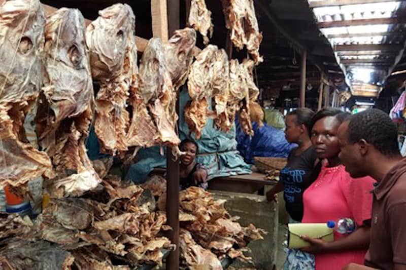 Read more about the article FMP heads back to Nigerian market