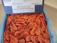 Read more about the article Faroe Islands North East Arctic cold water prawn fishery enters MSC full assessment process