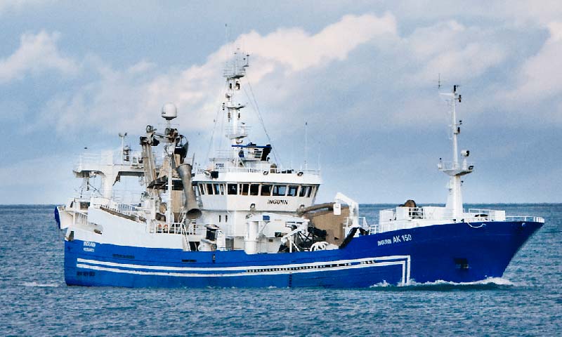 Read more about the article Capelin stay shallow