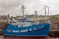 Read more about the article ELLORAH BF12