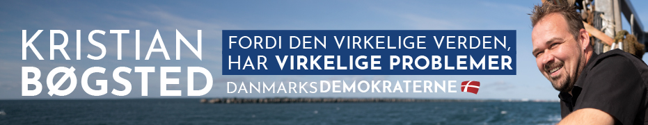 Kristian Bøgsted - Fordi den virkelige verden har virkelige problemer