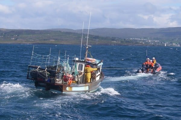 Read more about the article Fish Prices Landings for Scotland.