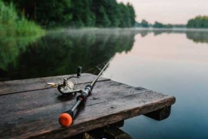 Sundhedsmæssige fordele ved fiskeri: Fordele for krop og sind