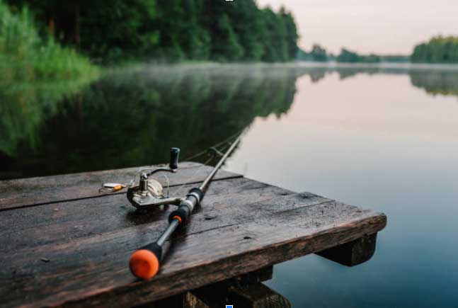 Read more about the article Sundhedsmæssige fordele ved fiskeri: Fordele for krop og sind
