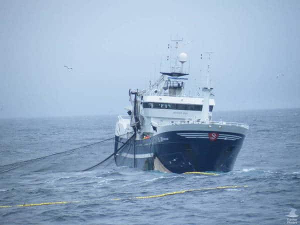 Read more about the article Mackerel talks