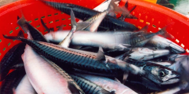 Read more about the article ‘The market is moving. The consequences are real,’ warns NAPA