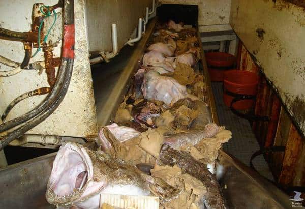 Read more about the article Scots Fishermen Furious as More Quota Cuts loom