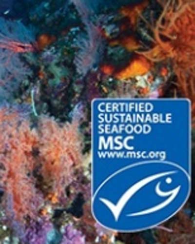Read more about the article Greenland Arctic whitefish fisheries enter MSC assessments