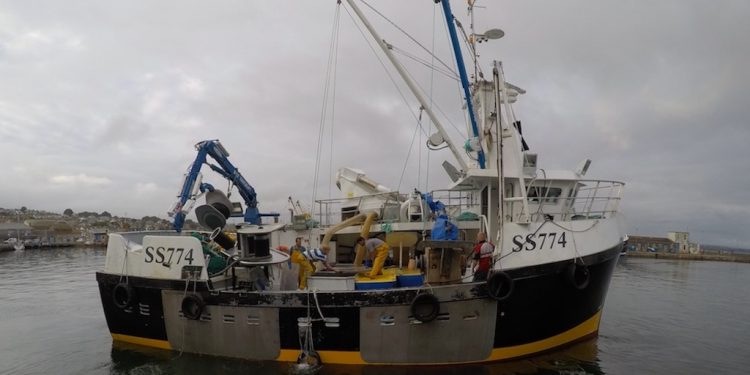 New tech designed with Cornish fishermen to transform bycatch
