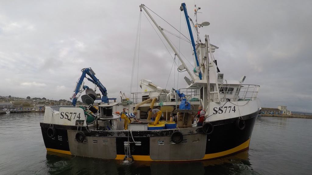 Read more about the article New tech designed with Cornish fishermen to transform bycatch monitoring