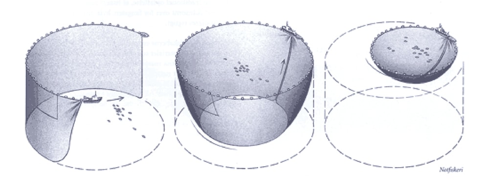 notfiskeri
