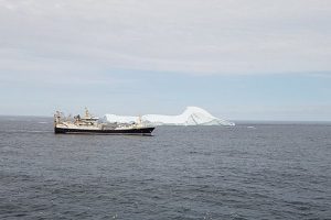 Polar Amaroq fishing in the ice - @ Fiskerforum