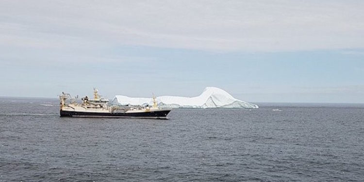 Polar Amaroq fishing in the ice - @ Fiskerforum