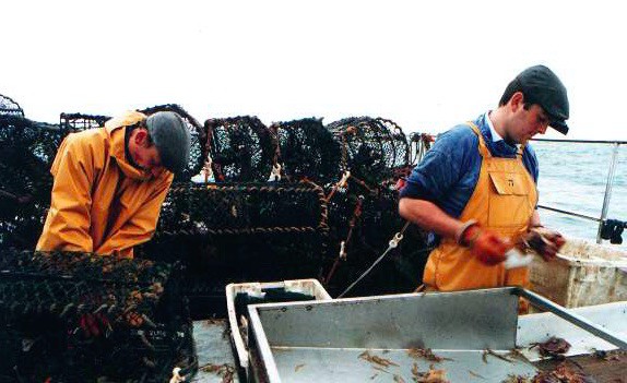Read more about the article Swedish request could end American lobster imports