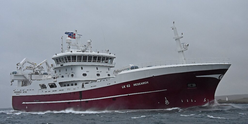 Read more about the article Scottish herring fishery gathers pace
