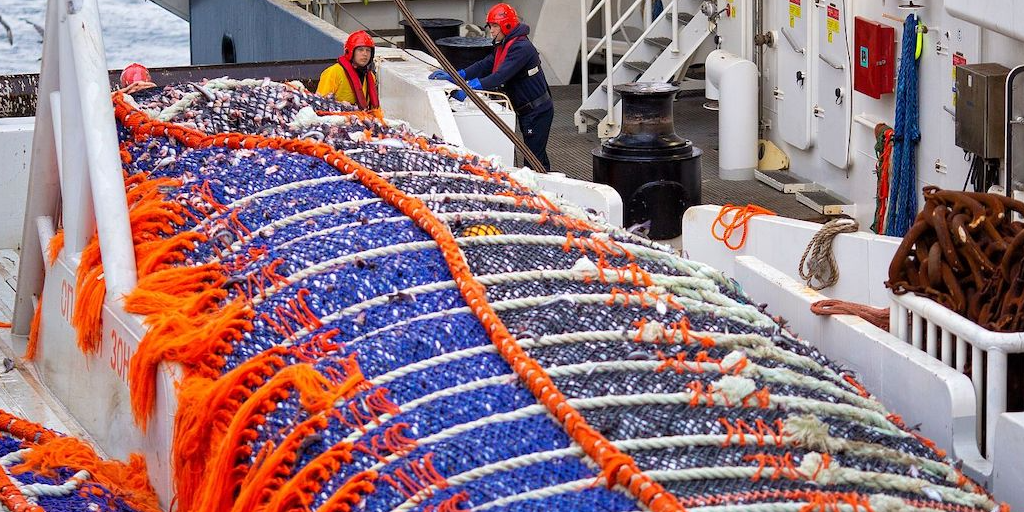 Read more about the article Russian Fishery Company’s successful transition