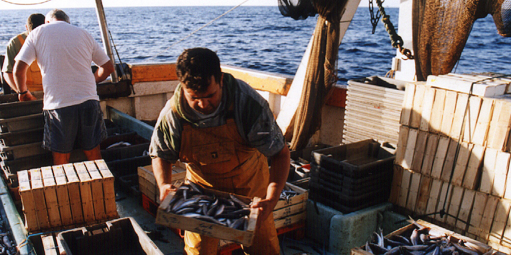 Read more about the article EU and Mediterranean neighbours share commitment