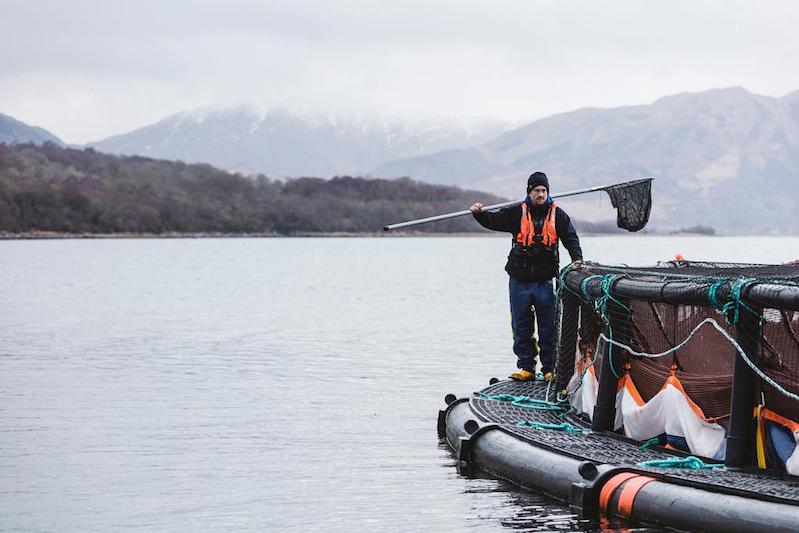 Read more about the article Scottish salmon farmers lead the way with transparent reporting
