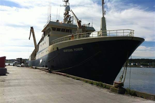 Read more about the article Newfound Pioneer discharges 482 tons of shrimps