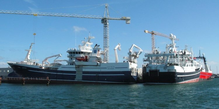 Pelagic vessels - @ Fiskerforum