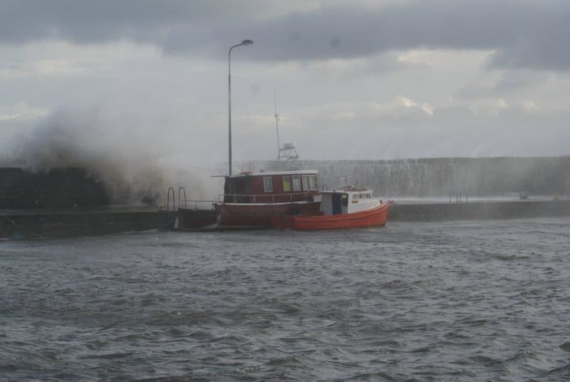 Read more about the article Fish Prices/Landings for Scotland