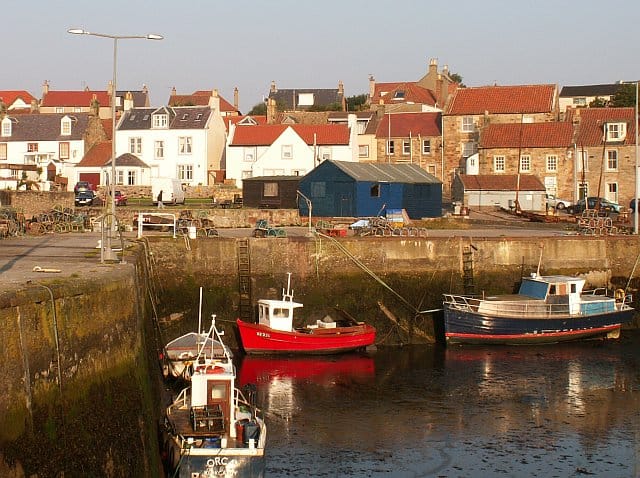 Read more about the article Fish Prices Landings For Scotland