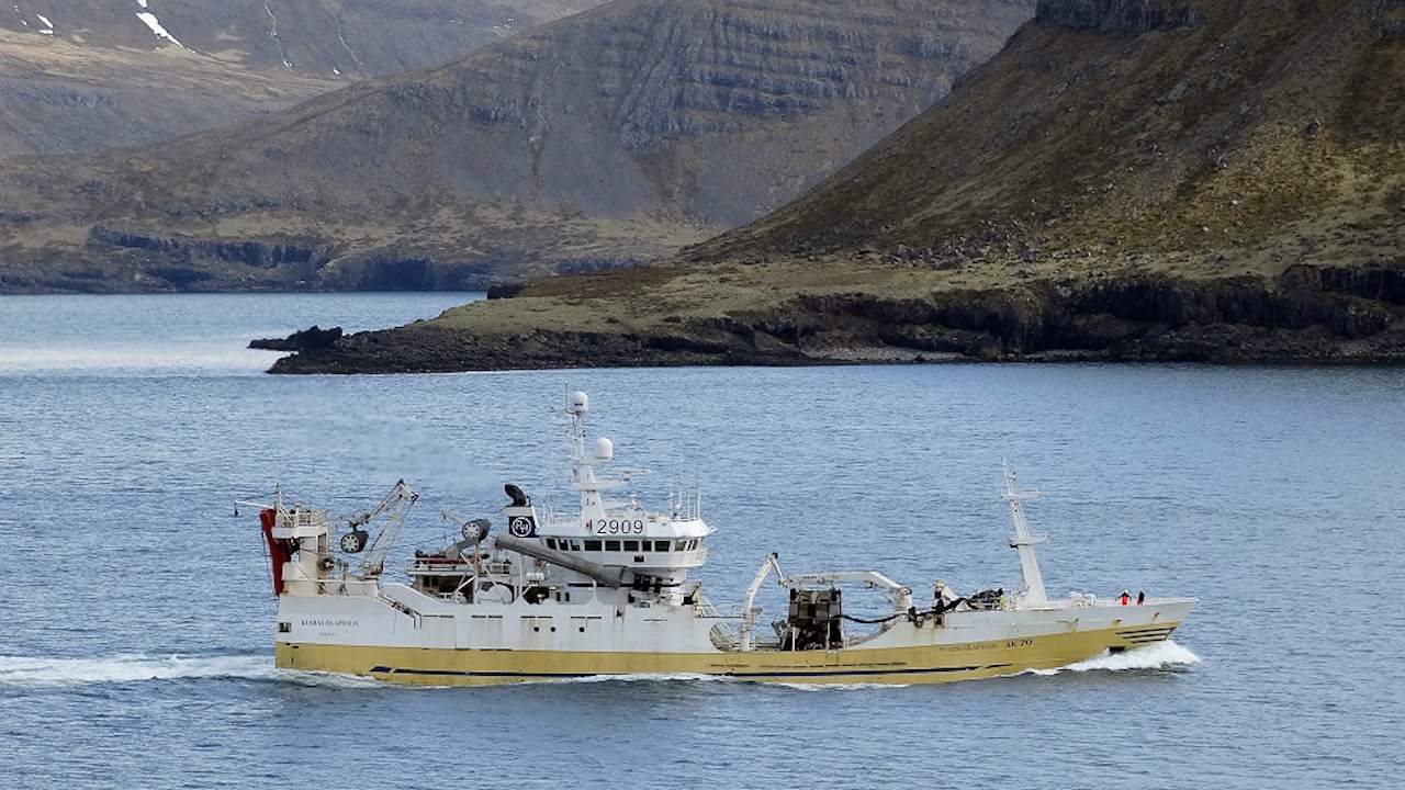 Read more about the article Fishing well on blue whiting