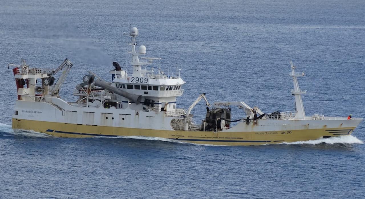 Read more about the article Blue whiting into the grey zone