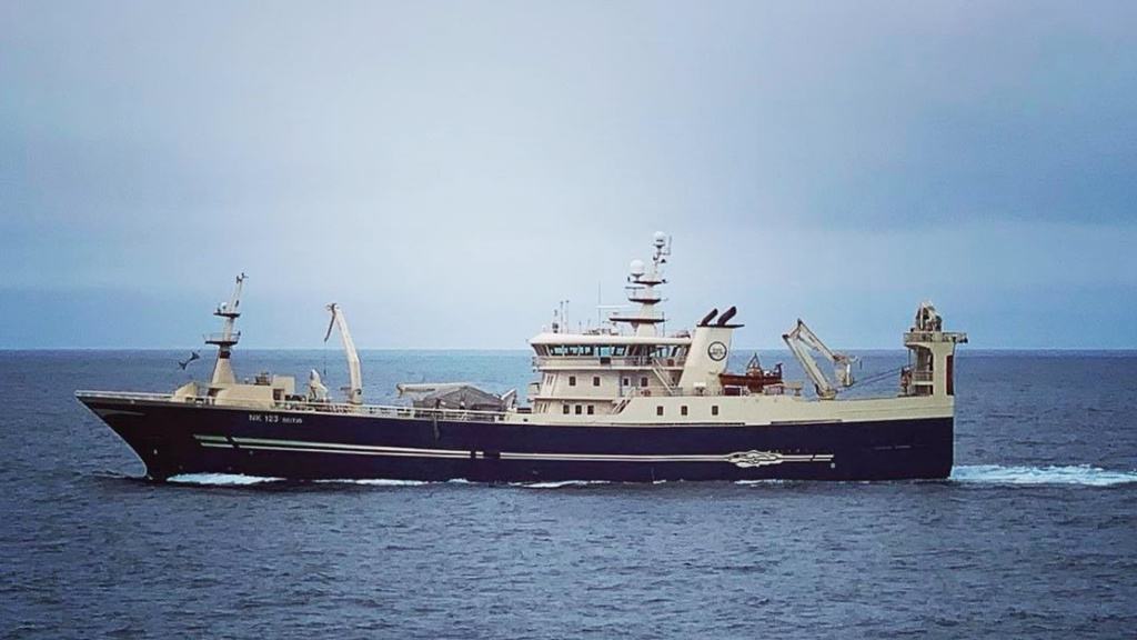 Read more about the article First capelin of the year