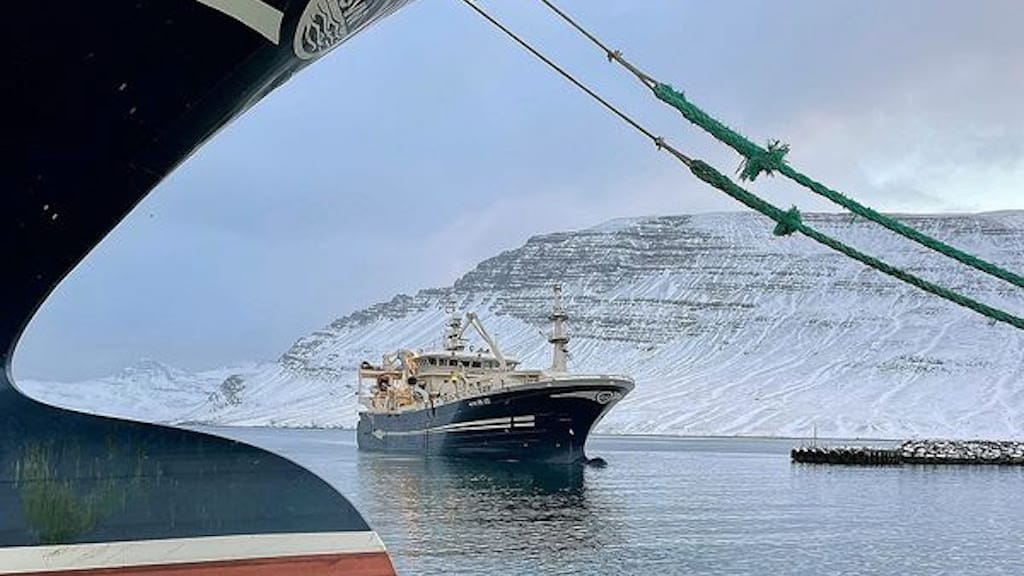 Read more about the article Capelin processed at new protein facility