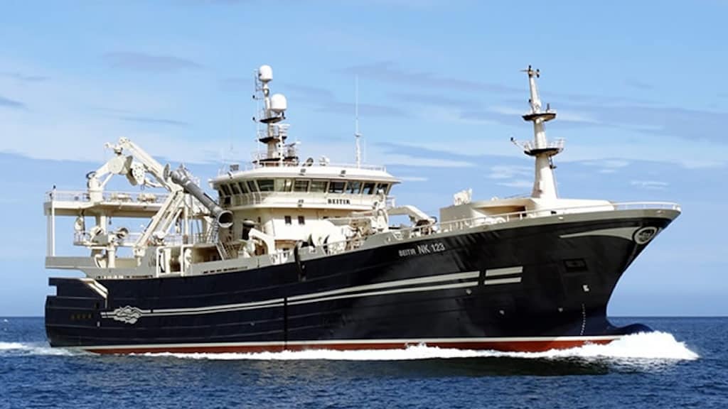 Read more about the article Last mackerel of the season