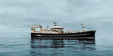 Heading for mackerel