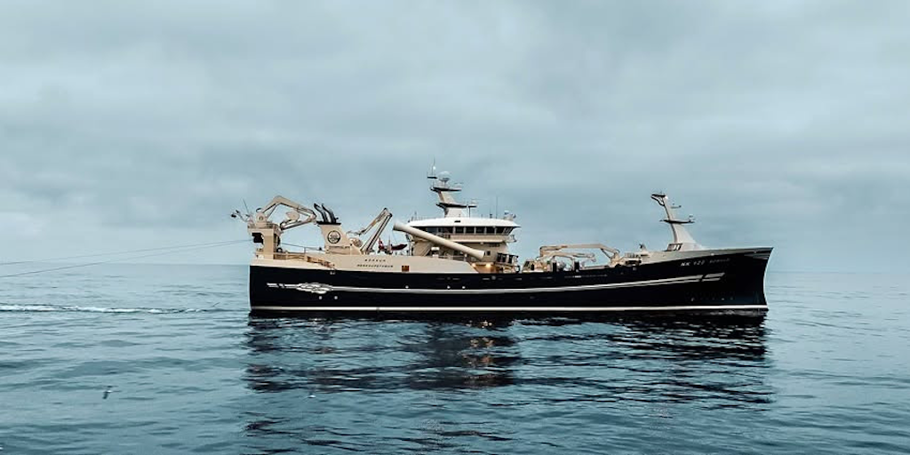 Read more about the article Heading for mackerel