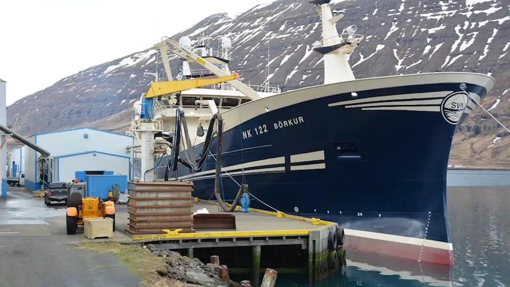 Read more about the article First blue whiting landings to Iceland